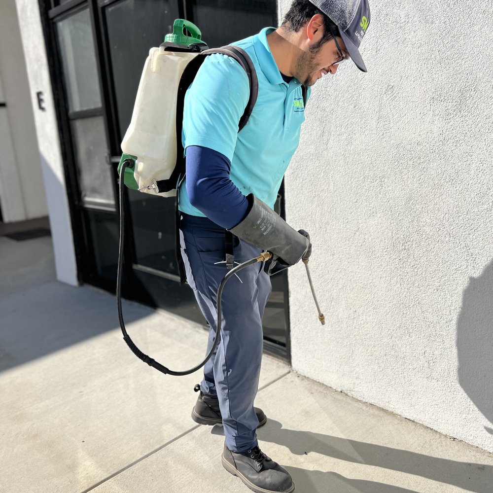 Commercial Pest Control